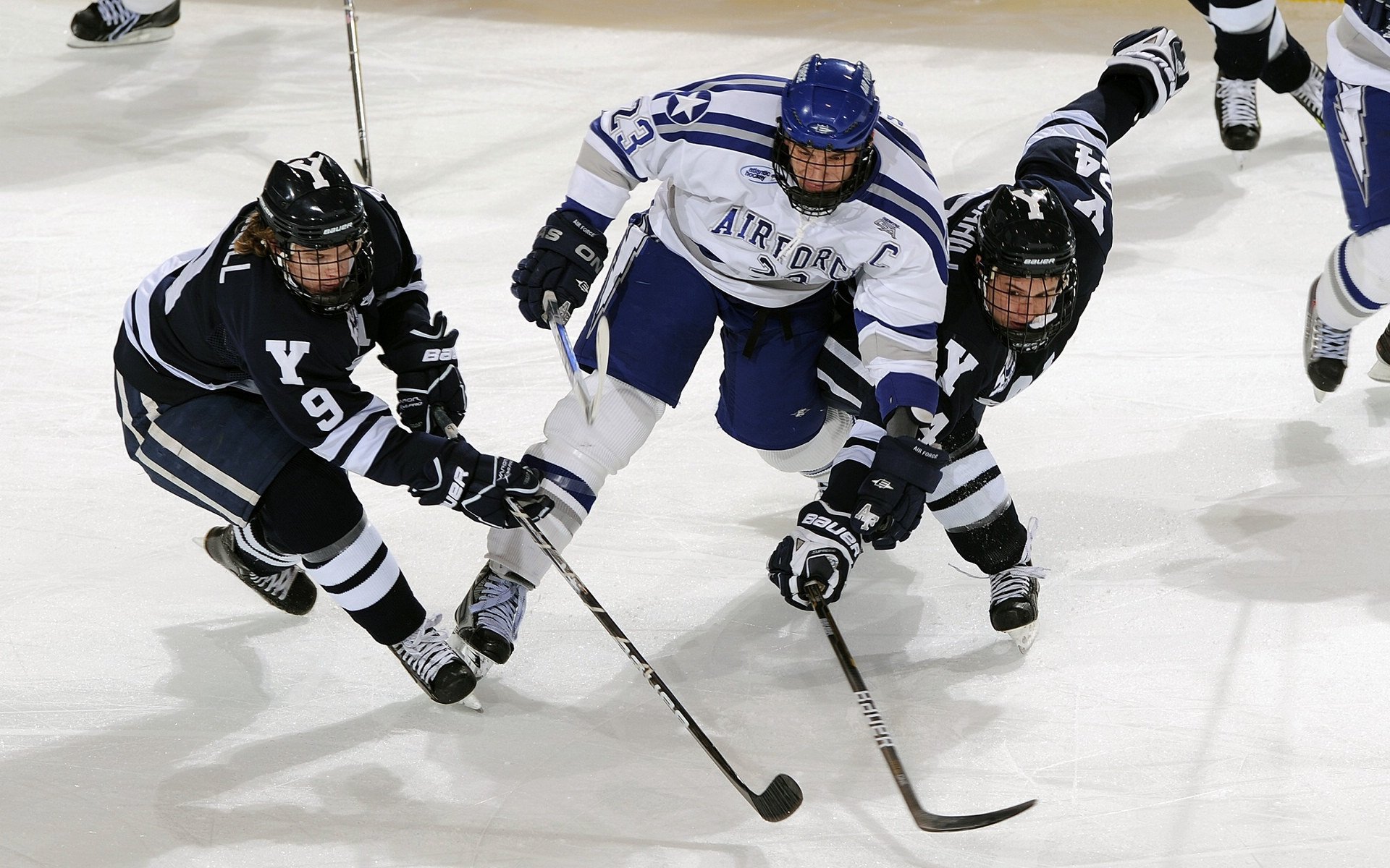 体育赛事数字化管理逐渐普及